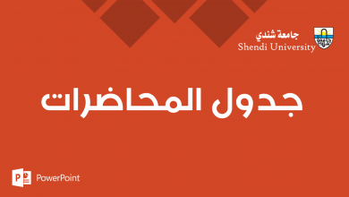 جامعة شندي Shendi University - Faculty of Archaeology and Tourism