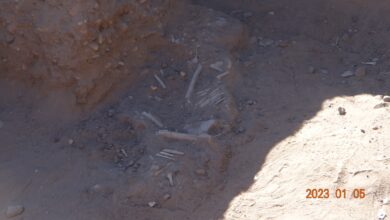 جامعة شندي Shendi University - Faculty of Archaeology and Tourism