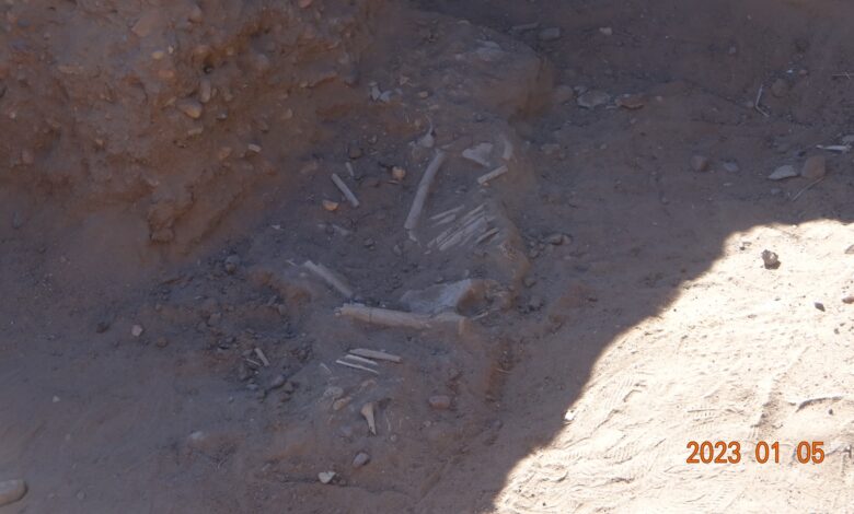 جامعة شندي Shendi University - Faculty of Archaeology and Tourism